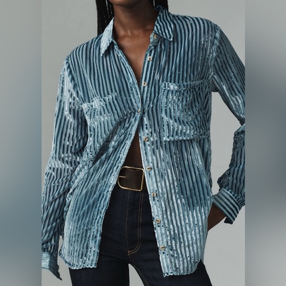 Anthropologie Tops - Anthropologie Pilcro Velvet Burnout Blouse XL